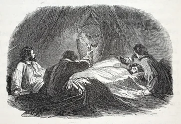 The Bear in Camp, illustration from 